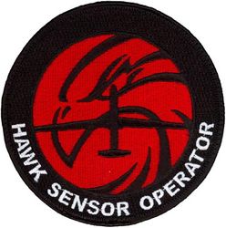 1st Reconnaissance Squadron RQ-4 Sensor Operator
