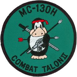 1st Special Operations Squadron MC-130H Morale
