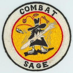 1st Test Squadron COMBAT SAGE
