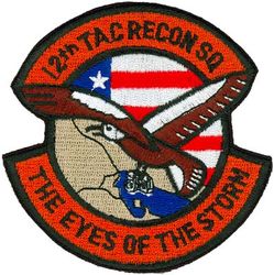 12th Tactical Reconnaissance Squadron Operation DESERT STORM
Second version.
