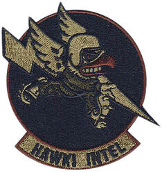 124th Attack Squadron Intelligence
Keywords: OCP