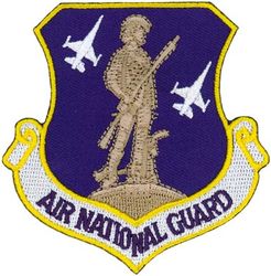 Air National Guard
Worn by: 125th Fighter Squadron & 157th Fighter Squadron
