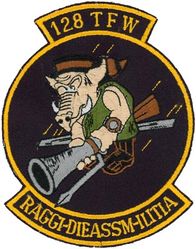 128th Tactical Fighter Wing A-10 Morale

