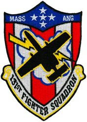 131st Fighter Squadron A-10
