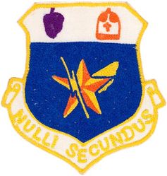 136th Air Defense Wing
Translation: NULLI SECUNDUS - "Second to None"
