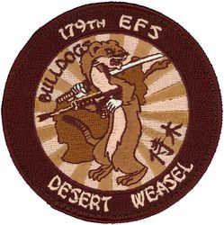 179th Expeditionary Fighter Squadron F-16 Wild Weasel
Keywords: desert