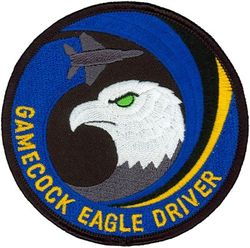 19th Fighter Squadron F-15 Pilot
