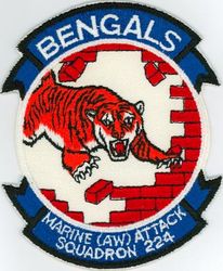 Marine All Weather Attack Squadron 224 
VMA(AW)-224 "Fighting Bengals"
1970s 
A-6A Intruder
