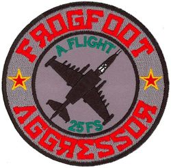 25th Fighter Squadron Aggressors A Flight
