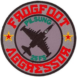 25th Fighter Squadron Aggressors 

