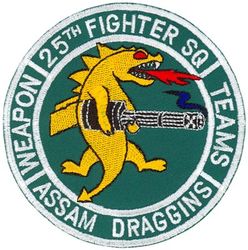 25th Fighter Squadron Weapons Teams
