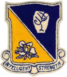 27th Fighter-Escort Wing and 27th Strategic Fighter Wing
