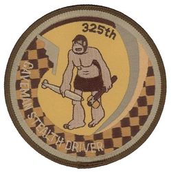 325th Bomb Squadron B-2 Pilot
Keywords: desert