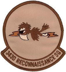 343d Reconnaissance Squadron
Keywords: desert