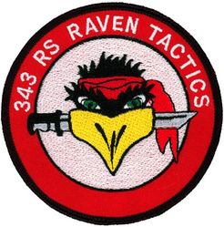 343d Reconnaissance Squadron Tactics
