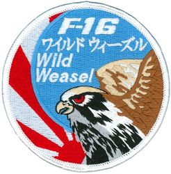 35th Fighter Wing F-16 Swirl
