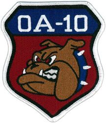 354th Fighter Squadron OA-10
