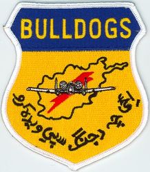 354th Expeditionary Fighter Squadron A-10
