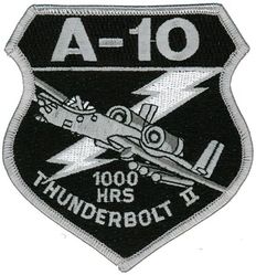 355th Fighter Squadron A-10 Thunderbolt 100 Hours
