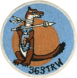 363d Tactical Reconnaissance Wing Wild Weasel
