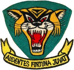 391st Tactical Fighter Squadron
