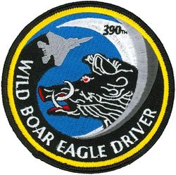 390th Fighter Squadron F-15 Pilot
