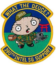 390th Intelligence Squadron Support
