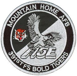391st Fighter Squadron F-15E 

