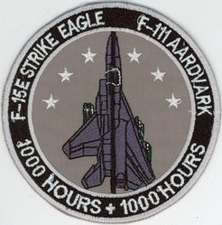 F-15E Strike Eagle / F-111 Aardvark 1000 hours
