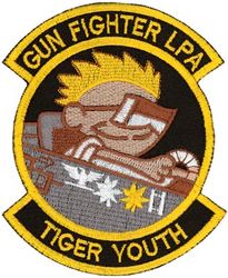 391st Fighter Squadron Lieutenant's Protection Association
