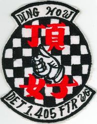 405th Fighter Wing Detachment 1
