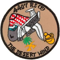 4407th Reconnaissance Squadron (Provisional) 
Keywords: desert