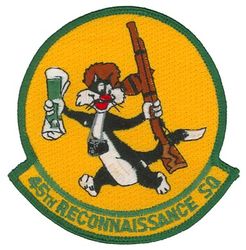45th Reconnaissance Squadron
