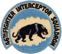 46th Fighter-Interceptor Squadron 
