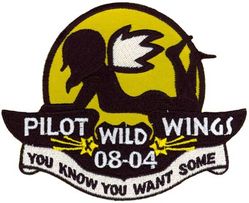 Class 2008-04 Specialized Undergraduate Pilot Training Morale
