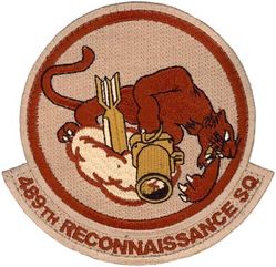 489th Reconnaissance Squadron
Keywords: desert