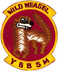 561st Fighter Squadron Wild Weasel
