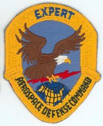 Aerospace Defense Command Expert
