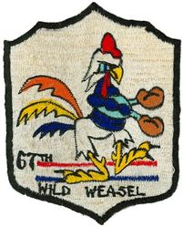 67th Tactical Fighter Squadron Wild Weasel

