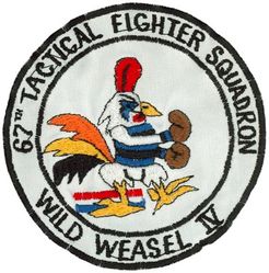 67th Tactical Fighter Squadron Wild Weasel IV

