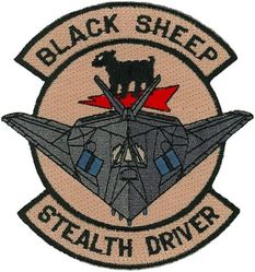 8th Fighter Squadron F-117 Pilot
Keywords: desert