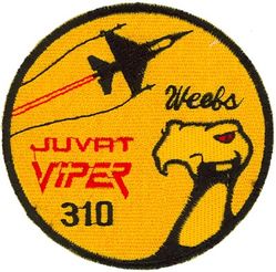 80th Fighter Squadron F-16 Pilot Aircraft 86-0310
