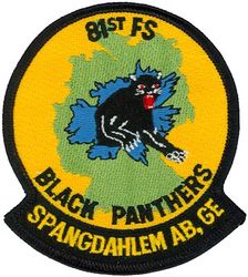 81st Fighter Squadron Morale

