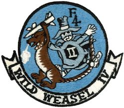 81st Tactical Fighter Squadron WILD WEASEL IV
