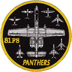 81st Fighter Squadron A-10 
