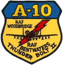 81st Tactical Fighter Wing A-10
