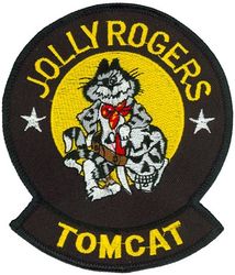 Fighter Squadron 84 F-14 Tomcat
VF-84 "Jolly Rogers"
1976-1995
Grumman F-14A Tomcat
