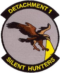 9th Reconnaissance Wing Detachment 1
