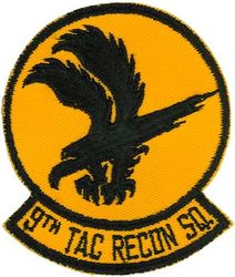 9th Tactical Reconnaissance Squadron
