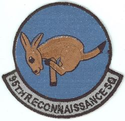 95th Reconnaissance Squadron
